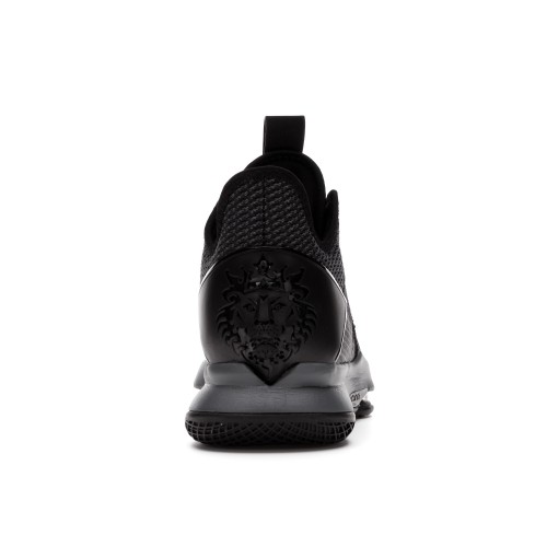 Кроссы Nike LeBron Witness 4 Black/Iron Grey - мужская сетка размеров