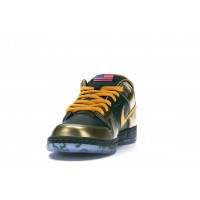 Кроссовки Nike SB Dunk Low Doernbecher (2018)