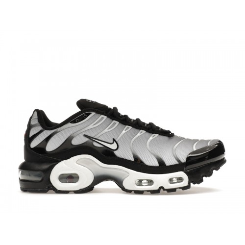 Кроссы Nike Air Max Plus Black Metallic Silver White (GS) - подростковая сетка размеров