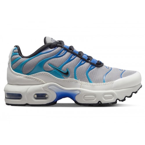 Кроссы Nike Air Max Plus Light Smoke Grey Blue Lightning Racer Blue Black (PS) - детская сетка размеров