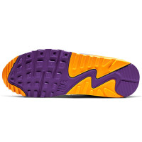 Nike Air Max 90 Viotech OG