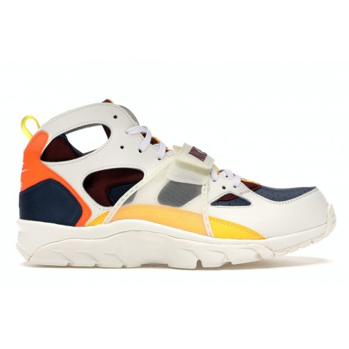 Кроссы Nike Air Trainer Huarache City Pride Houston - мужская сетка размеров