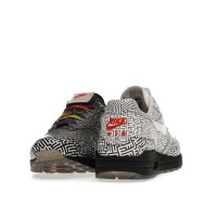 Nike Air Max 1 Tokyo Maze