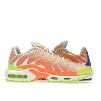 Nike Air Max Plus Color Flip Pack Grape