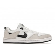 Кроссовки Nike Sb Alleyoop White