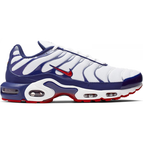 Кроссы Nike Air Max Plus White Red Blue - мужская сетка размеров