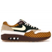 Nike Air Max 1 Susan Missing Link