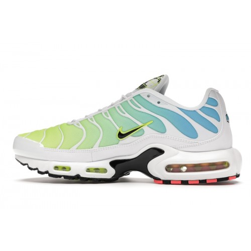 Кроссы Nike Air Max Plus Worldwide - мужская сетка размеров