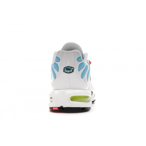 Кроссы Nike Air Max Plus Worldwide - мужская сетка размеров