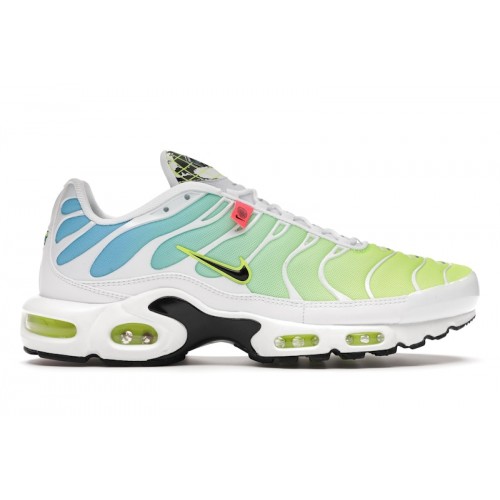 Кроссы Nike Air Max Plus Worldwide - мужская сетка размеров