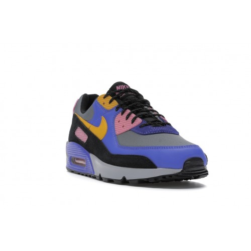 Кроссы Nike Air Max 90 ACG Persian Violet - мужская сетка размеров