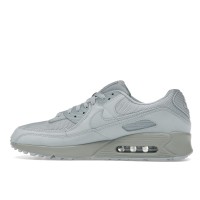 Nike Air Max 90 Wolf Grey