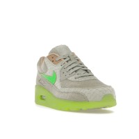 Nike Air Max 90 New Species