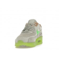 Nike Air Max 90 New Species
