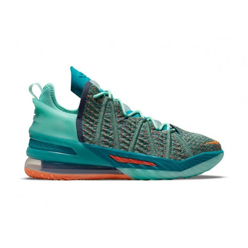 Кроссы Nike LeBron 18 We Are Family - мужская сетка размеров