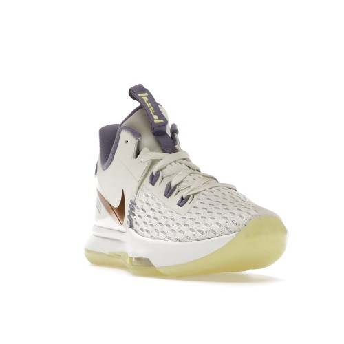 Кроссы Nike LeBron Witness 5 Summit White Metallic Bronze - мужская сетка размеров