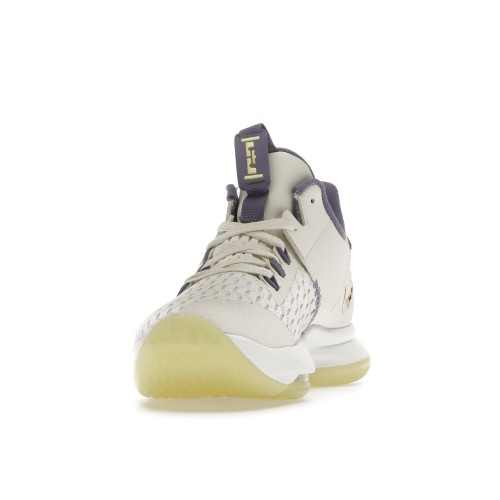Кроссы Nike LeBron Witness 5 Summit White Metallic Bronze - мужская сетка размеров