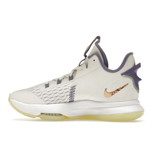 Кроссы Nike LeBron Witness 5 Summit White Metallic Bronze - мужская сетка размеров
