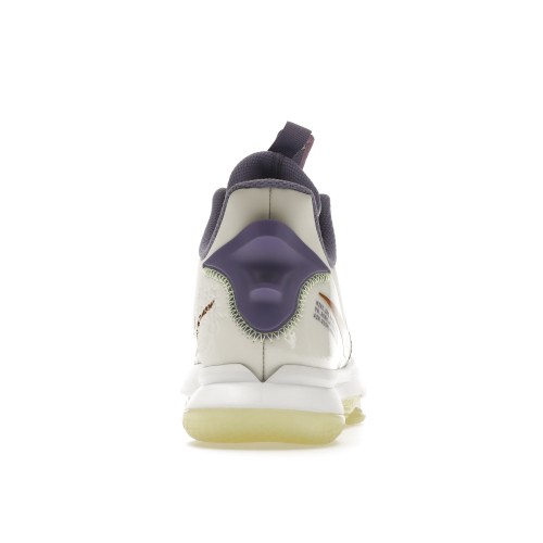 Кроссы Nike LeBron Witness 5 Summit White Metallic Bronze - мужская сетка размеров