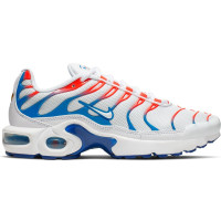 Подростковые кроссовки Nike Air Max Plus 3D Glasses (GS)