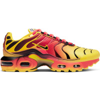Подростковые кроссовки Nike Air Max Plus Fade Chrome Yellow Bright Crimson (GS)