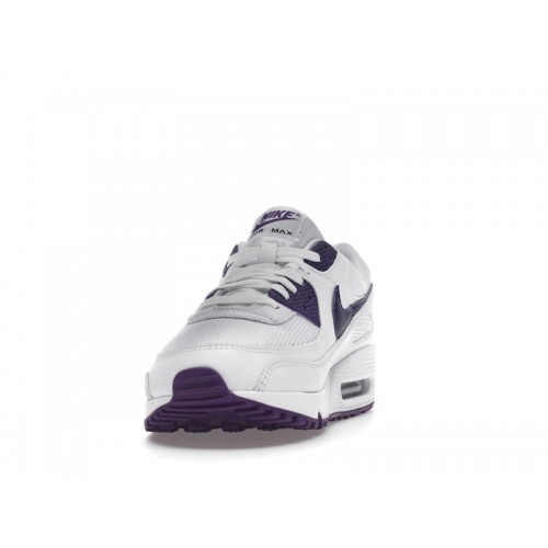 Nike Air Max 90 Color Pack Court Purple - мужская сетка размеров