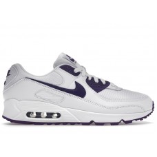 Nike Air Max 90 Color Pack Court Purple