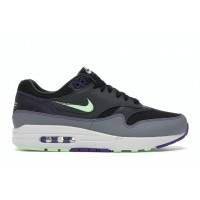 Кроссовки Nike Air Max 1 Future Swoosh Pack