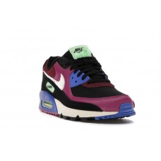 Женские Nike Air Max 90 Cactus Flower Dark Beetroot (W)