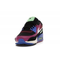 Женские Nike Air Max 90 Cactus Flower Dark Beetroot (W)