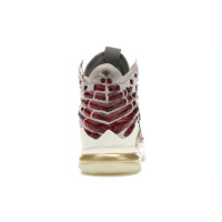 Nike LeBron 17 Harlem Fashion Row