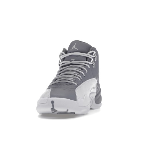 Кроссы Jordan 12 Retro Stealth - мужская сетка размеров