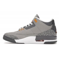 Jordan 3 Retro Cool Grey (2021)