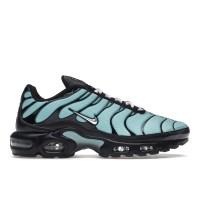 Кроссовки Nike Air Max Plus Aqua Blue