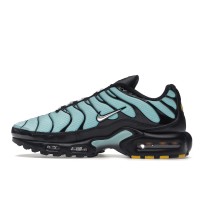 Nike Air Max Plus Aqua Blue