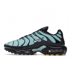 Nike Air Max Plus Aqua Blue