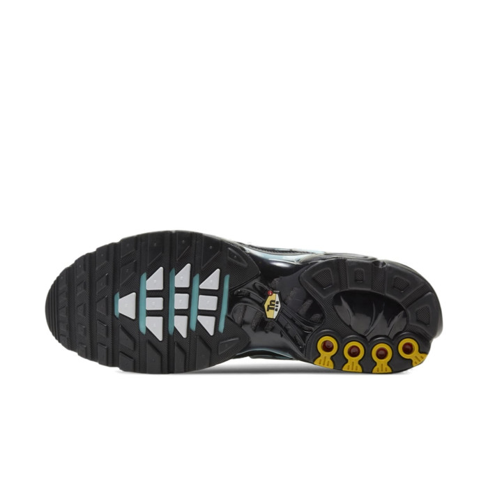 Nike Air Max Plus Aqua Silver - мужская сетка размеров Nike Air Max Plus Aqua Silver - мужская сетка размеров