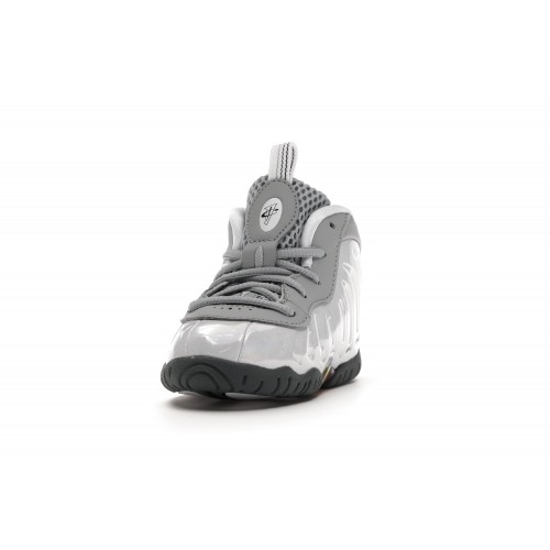 Кроссы Nike Air Foamposite One Light Smoke Grey (TD) - детская сетка размеров