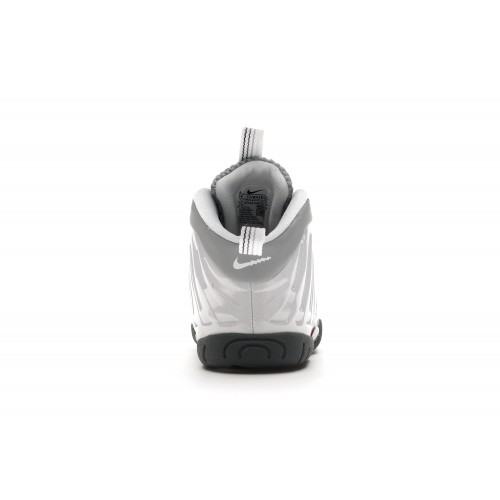 Кроссы Nike Air Foamposite One Light Smoke Grey (TD) - детская сетка размеров