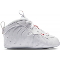 Кроссовки Nike Air Foamposite One Takeout Bag (I)