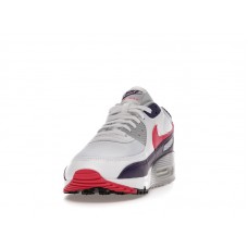 Женские Nike Air Max 90 Eggplant (W)