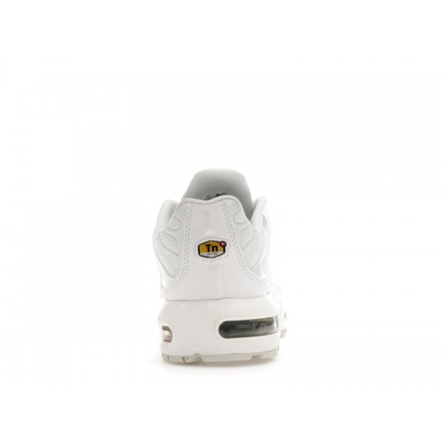 Кроссы Nike Air Max Plus White Metallic Silver (GS) - подростковая сетка размеров