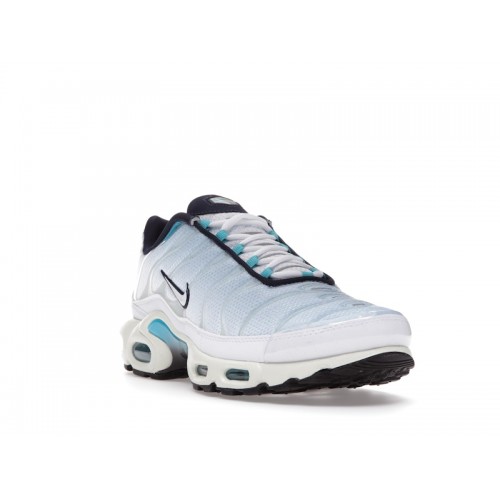 Кроссы Nike Air Max Plus Psychic Blue White - мужская сетка размеров