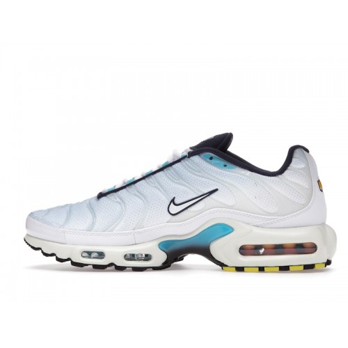 Кроссы Nike Air Max Plus Psychic Blue White - мужская сетка размеров