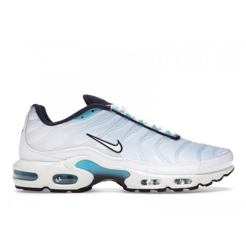 Кроссы Nike Air Max Plus Psychic Blue White - мужская сетка размеров