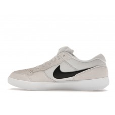 Кроссовки Nike SB Force 58 Photon Dust