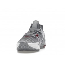 Кроссовки Nike LeBron Witness 6 Pure Platinum