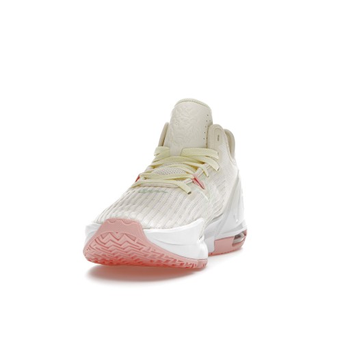 Кроссы Nike LeBron Witness 6 Coconut Milk - мужская сетка размеров