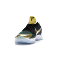 Кроссовки Nike Kobe 5 Protro Undefeated What If Multi