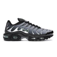 Кроссовки Nike Air Max Plus Black Particle Grey Vapour Green